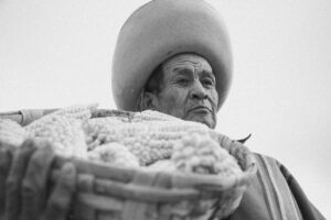 50代が知っておくべき老人性いぼの除去方法は？