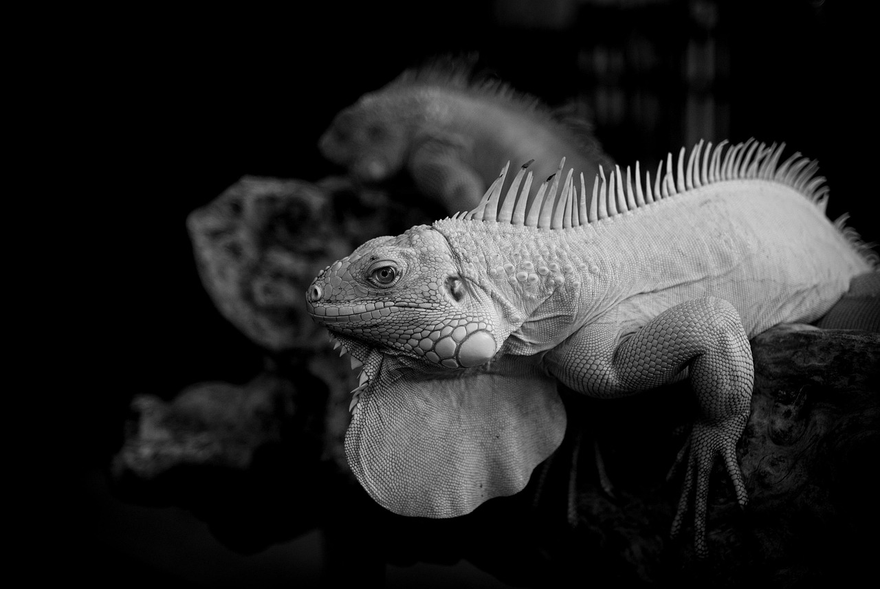 HIFUは50代の方に何回必要かを徹底解説しますか？