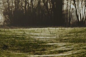 糸リフトを受ける際に痛み少ないクリニックはどこですか？