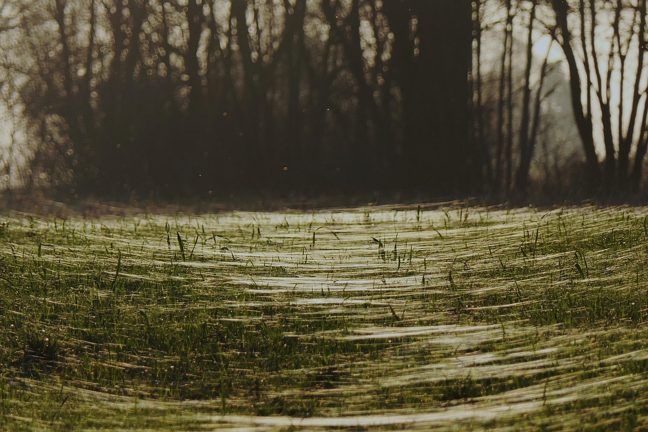 糸リフトを受ける際に痛み少ないクリニックはどこですか？