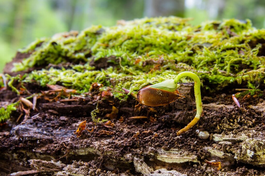 50代におすすめの切らない若返り最新法とは？