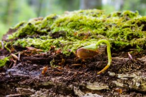 50代におすすめの切らない若返り最新法とは？